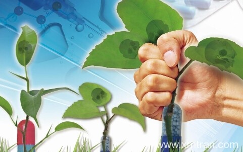 怎么知道自己是否適合醫(yī)學(xué)翻譯呢？該有哪些責(zé)任？