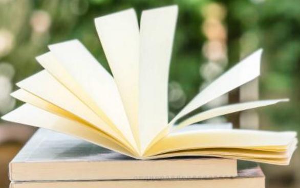 造成文學(xué)翻譯瓶頸期的原因有哪些？