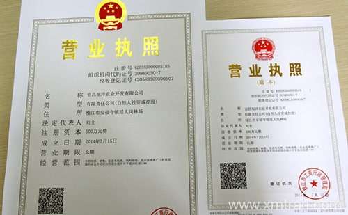 營業(yè)執(zhí)照翻譯模板-營業(yè)執(zhí)照翻譯找鑫美譯翻譯公司